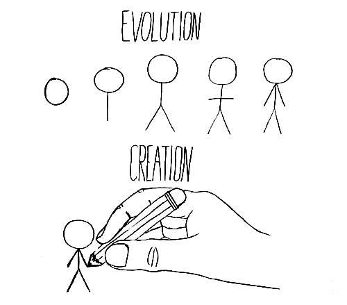 خلقت مستقیم یا فرگشت