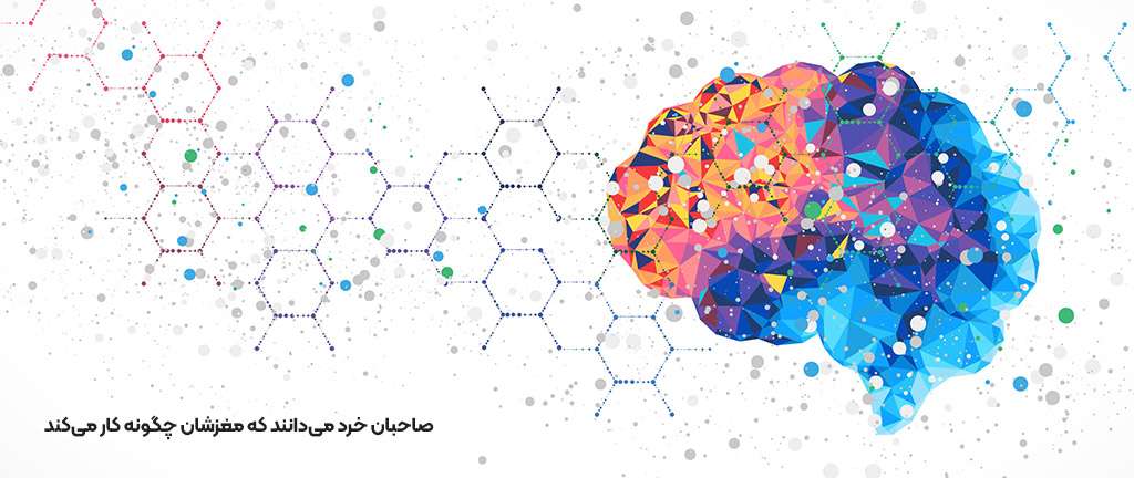 صاحبان خرد می‌دانند که مغزشان چگونه کار می‌کند